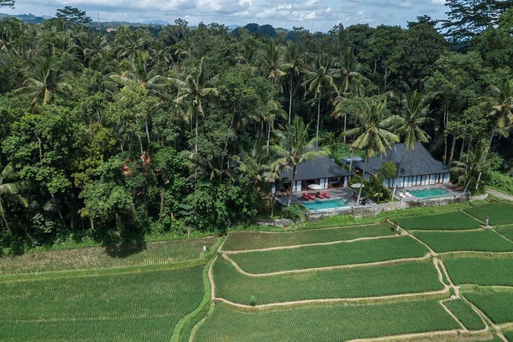 1brv Cozy With Amazing Rice Paddy View *
