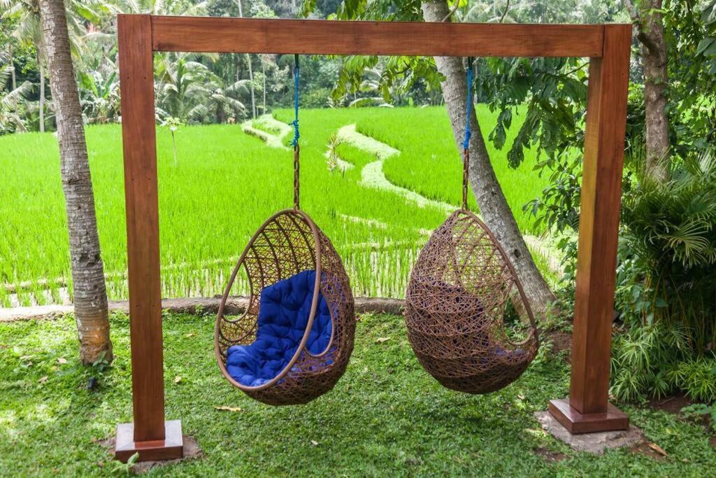 1brv Cozy With Amazing Rice Paddy View