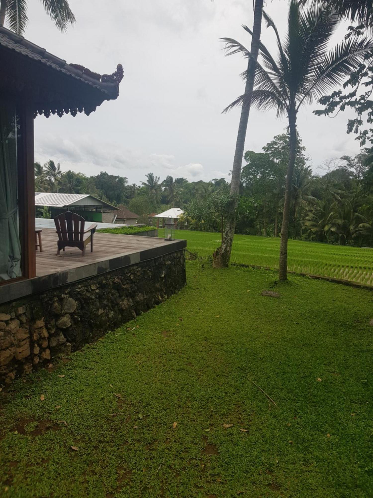 Villa 1brv Cozy With Amazing Rice Paddy View